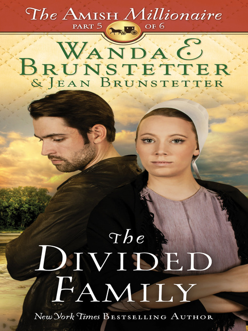 Title details for The Divided Family by Wanda E. Brunstetter - Wait list